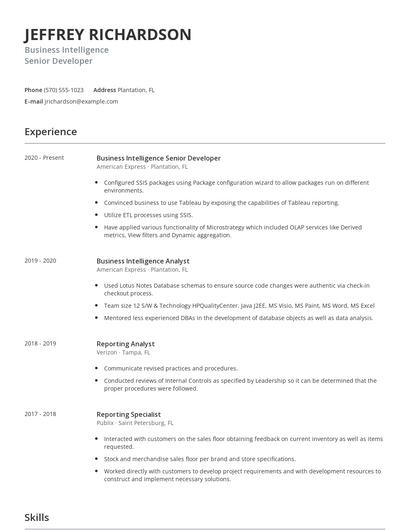 Business Intelligence Senior Developer Resume