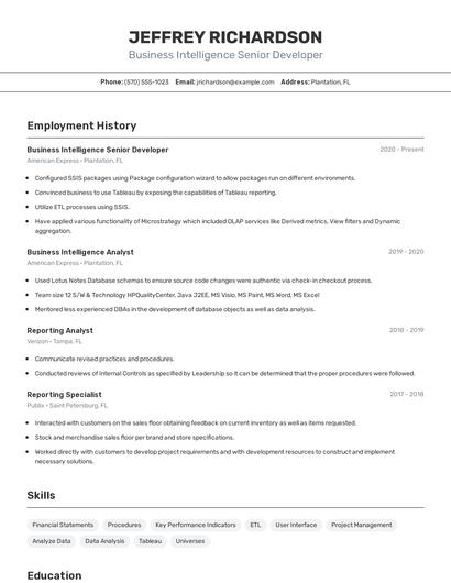 Business Intelligence Senior Developer Resume
