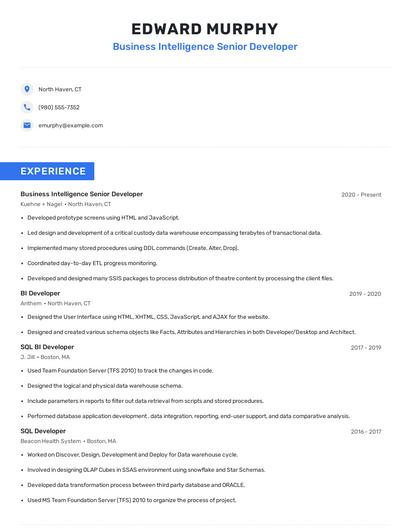 Business Intelligence Senior Developer Resume