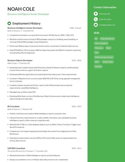 Business Intelligence Senior Developer Resume