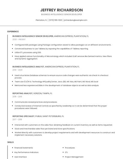 Business Intelligence Senior Developer Resume