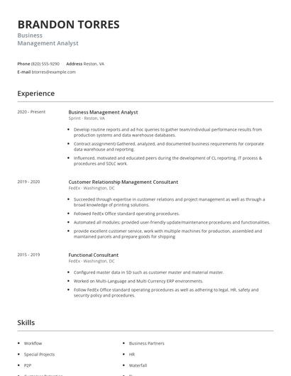 Business Management Analyst Resume