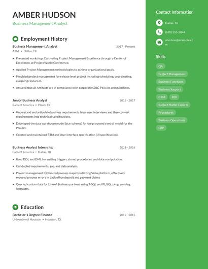 Business Management Analyst Resume