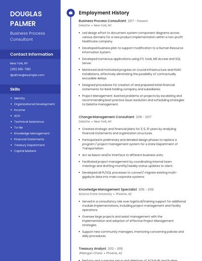 Business Process Consultant Resume