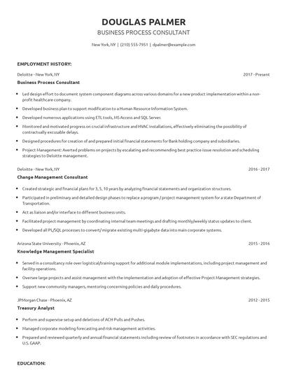 Business Process Consultant Resume