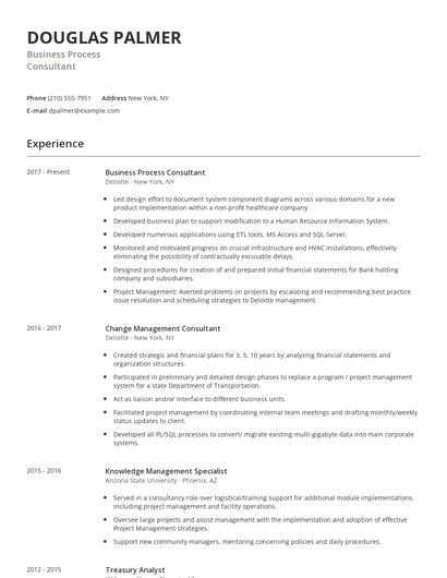 Business Process Consultant Resume