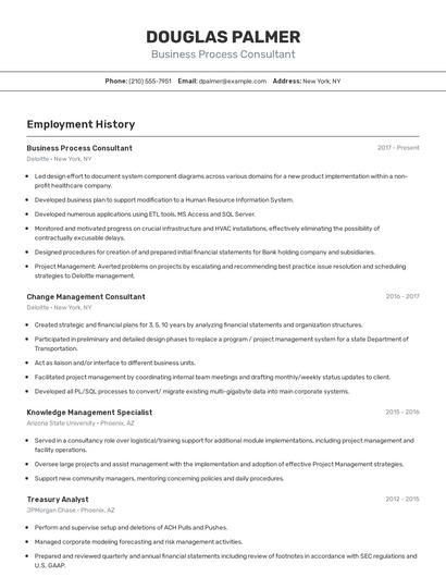 Business Process Consultant Resume