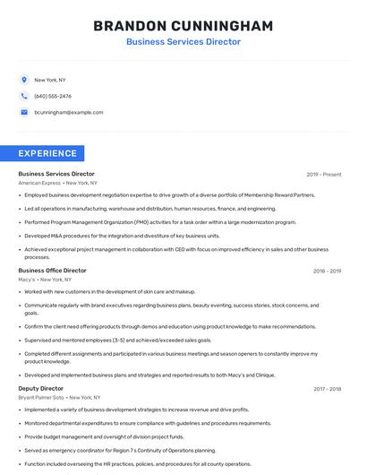 Business Services Director Resume