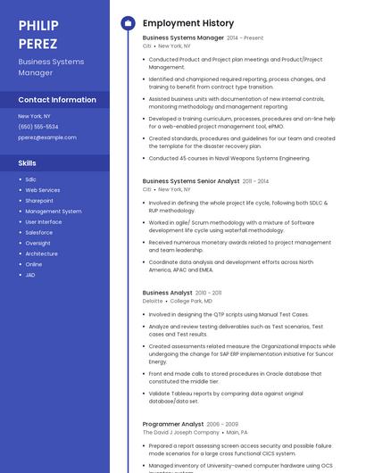 Business Systems Manager Resume