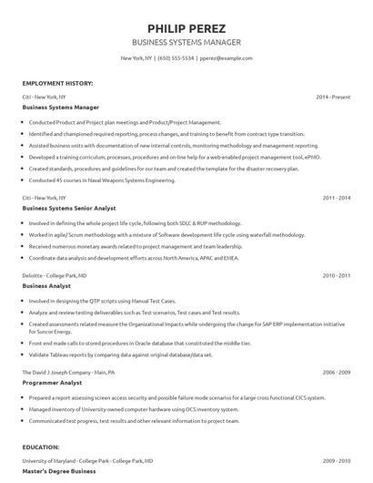 Business Systems Manager Resume