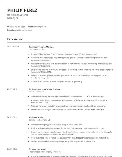 Business Systems Manager Resume