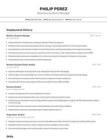 Business Systems Manager Resume