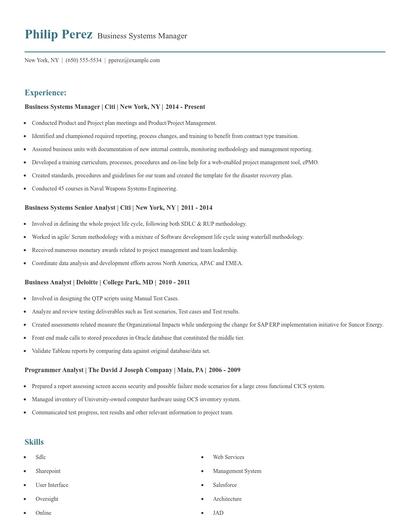 Business Systems Manager Resume