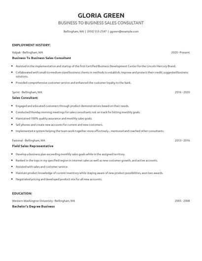 Business To Business Sales Consultant Resume