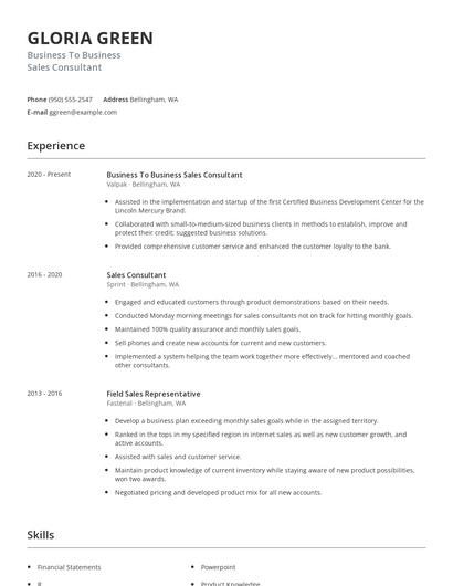 Business To Business Sales Consultant Resume