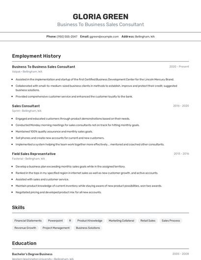 Business To Business Sales Consultant Resume