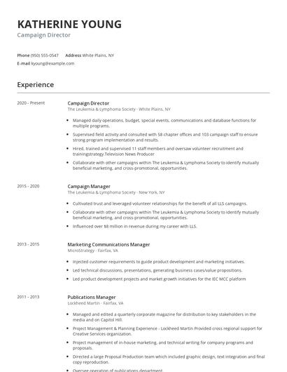Campaign Director Resume