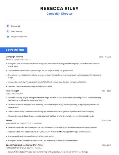 Campaign Director Resume