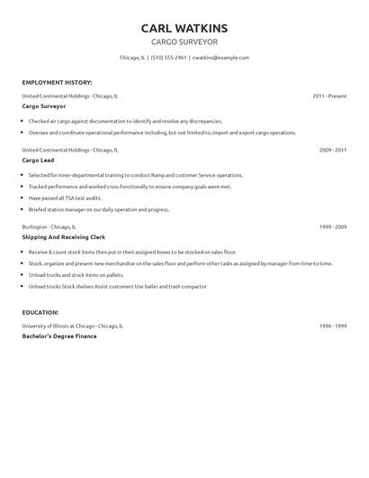 Cargo Surveyor Resume