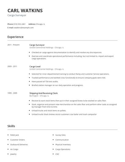 Cargo Surveyor Resume