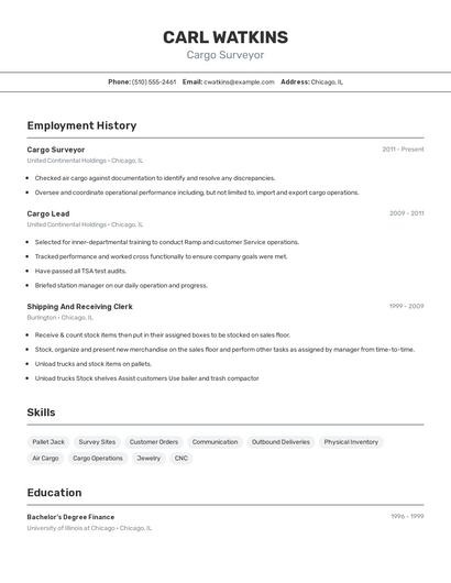 Cargo Surveyor Resume