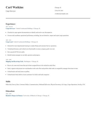 Cargo Surveyor Resume