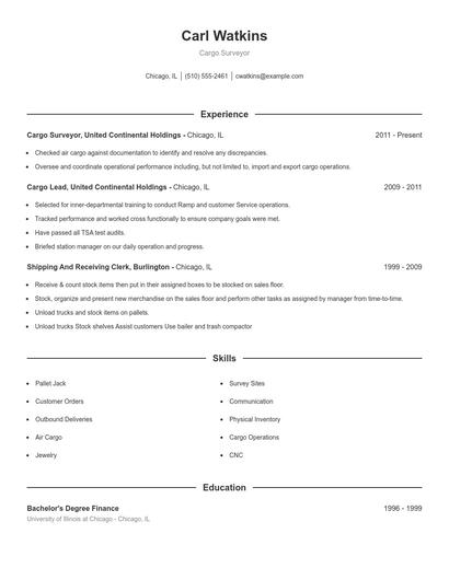 Cargo Surveyor Resume