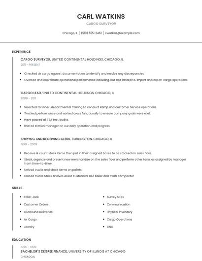 Cargo Surveyor Resume