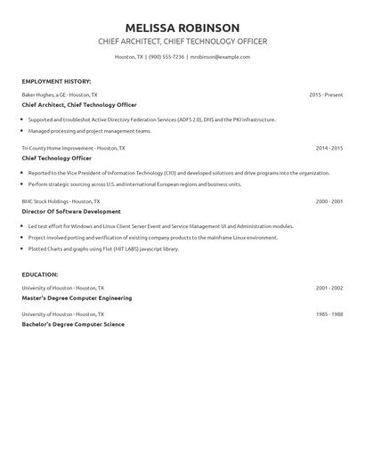 Chief Architect, Chief Technology Officer Resume