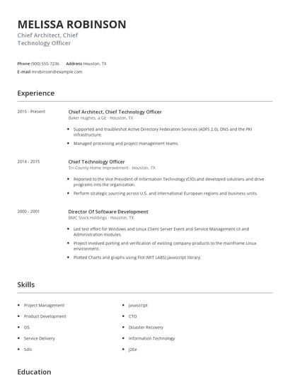 Chief Architect, Chief Technology Officer Resume