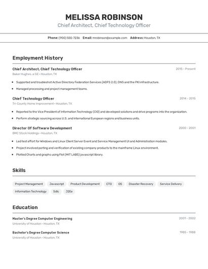 Chief Architect, Chief Technology Officer Resume