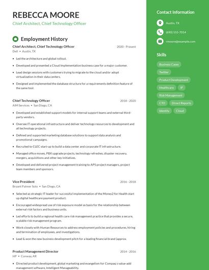 Chief Architect, Chief Technology Officer Resume