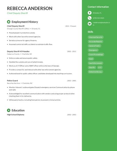 Chief Deputy Sheriff Resume