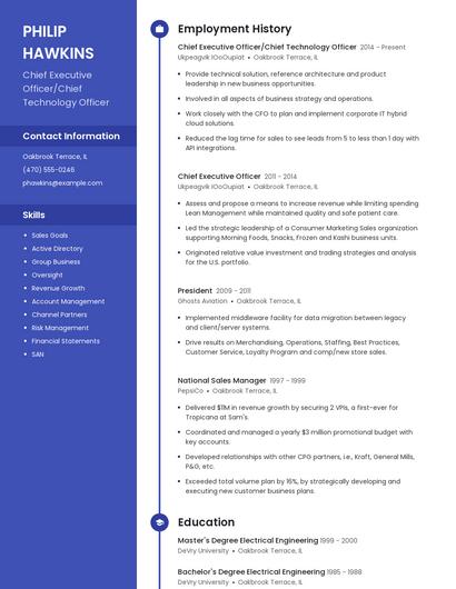 Chief Executive Officer/Chief Technology Officer Resume
