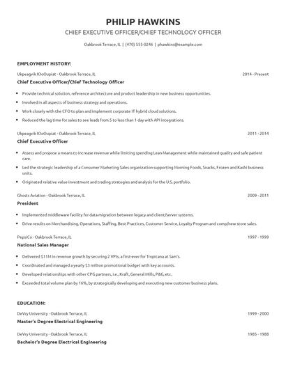 Chief Executive Officer/Chief Technology Officer Resume