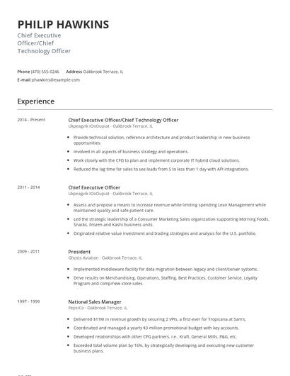 Chief Executive Officer/Chief Technology Officer Resume