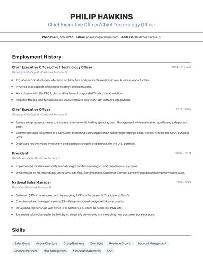 Chief Executive Officer/Chief Technology Officer Resume