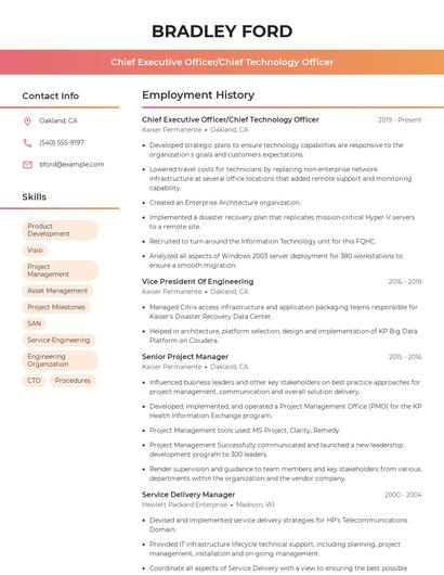 Chief Executive Officer/Chief Technology Officer Resume