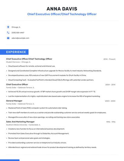 Chief Executive Officer/Chief Technology Officer Resume