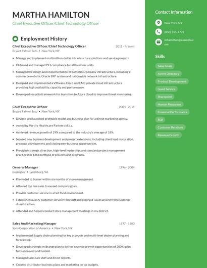 Chief Executive Officer/Chief Technology Officer Resume