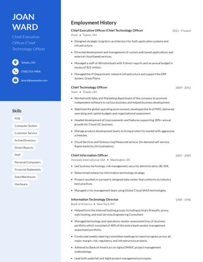 Chief Executive Officer/Chief Technology Officer Resume