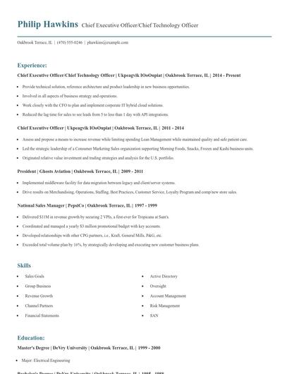 Chief Executive Officer/Chief Technology Officer Resume