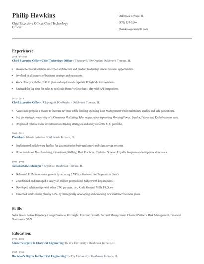 Chief Executive Officer/Chief Technology Officer Resume