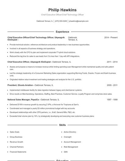 Chief Executive Officer/Chief Technology Officer Resume
