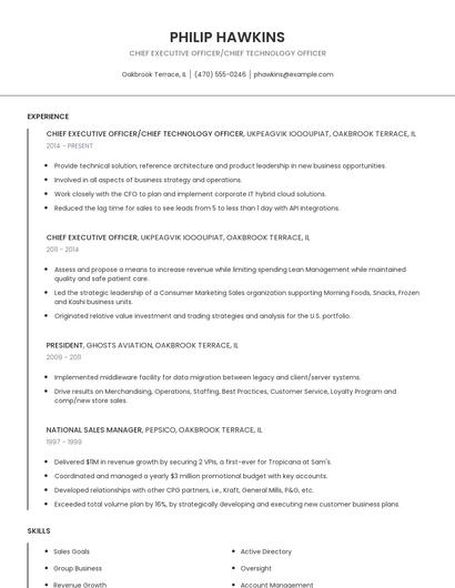 Chief Executive Officer/Chief Technology Officer Resume
