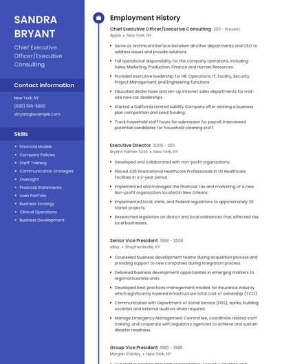 Chief Executive Officer/Executive Consulting Resume