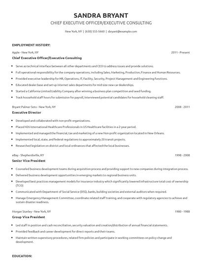 Chief Executive Officer/Executive Consulting Resume