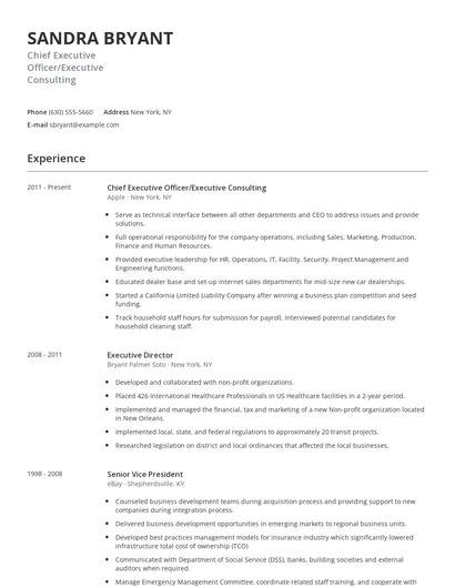 Chief Executive Officer/Executive Consulting Resume