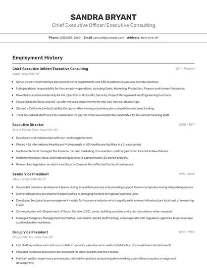 Chief Executive Officer/Executive Consulting Resume