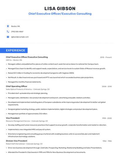 Chief Executive Officer/Executive Consulting Resume